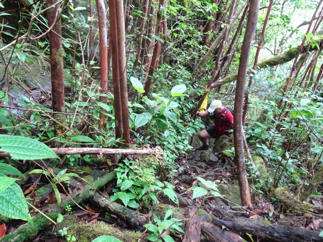 Le fond de ravine, assez rocheux et glissant