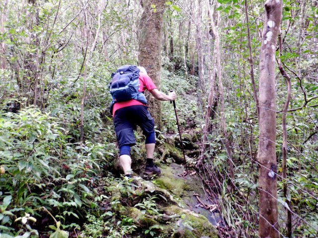 La montée avant le point de vue demande aussi de gros efforts