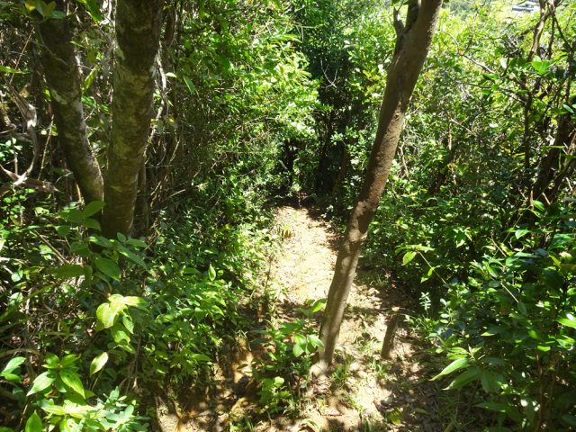 Un autre aspect du sentier