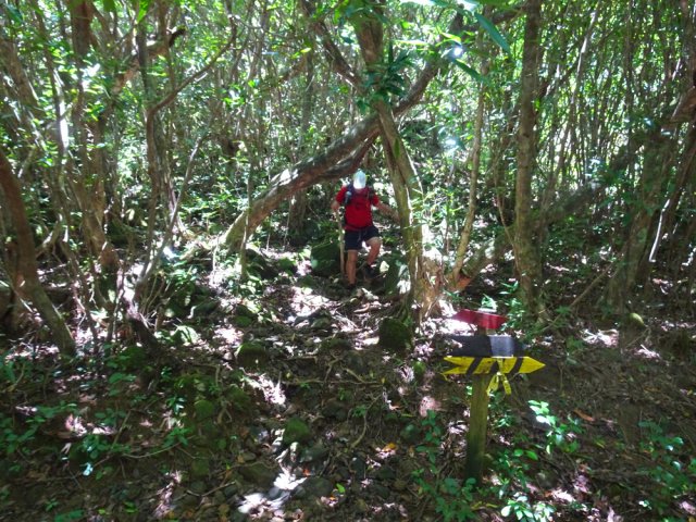 Les derniers mètres de la descente avant les prairies du domaine