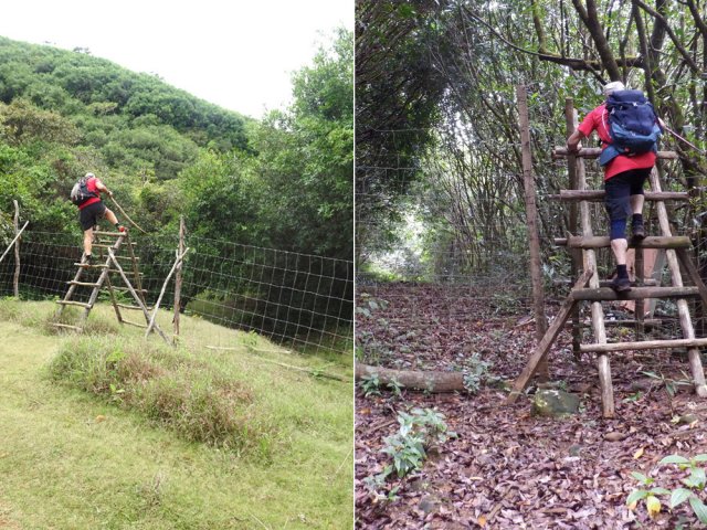 Plusieurs passages de clôtures