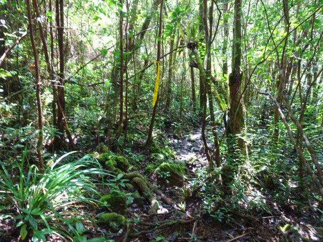 Toujours chercher les rubalises jaunes en cas de doute