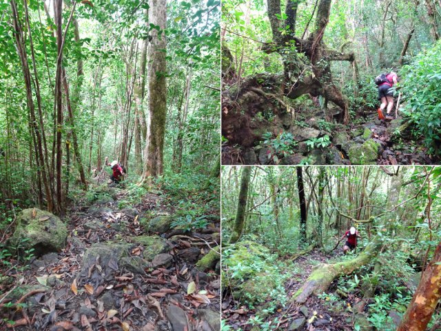 La grimpée est vraiment sportive