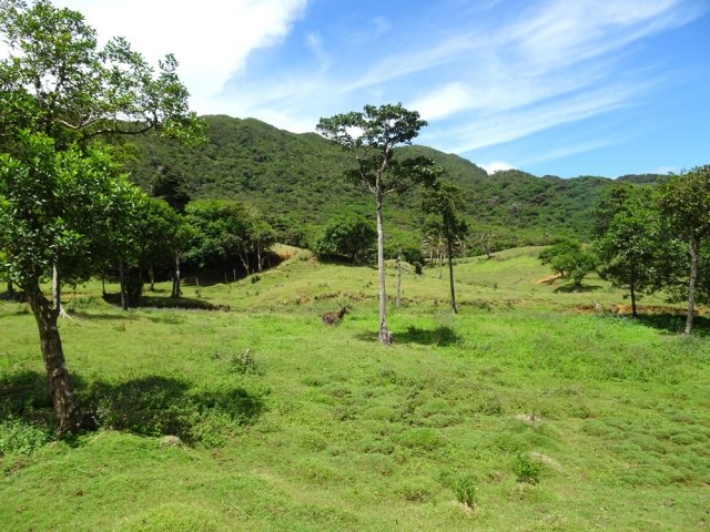 Agréables paysages vallonnés