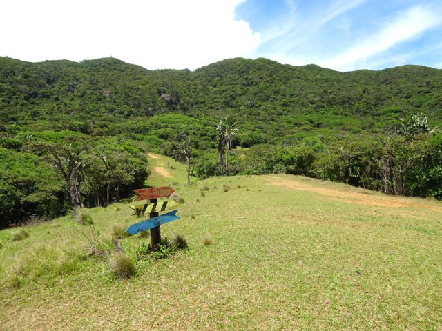 Suivre la couleur rouge à chaque carrefour