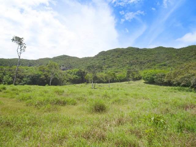 Plusieurs sentiers invisibles sillonnent les collines alentour