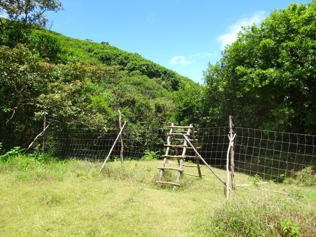 Il faut franchir quelques échelles afin de ne pas abîmer les clôtures