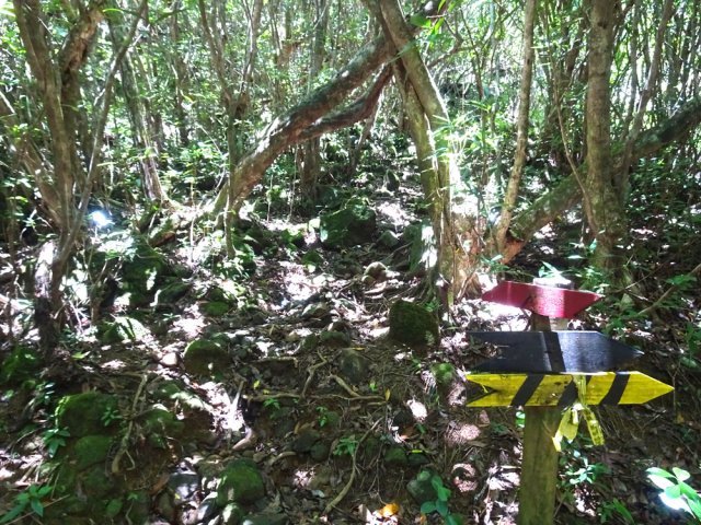 Le panneau rouge est brisé, prendre à gauche