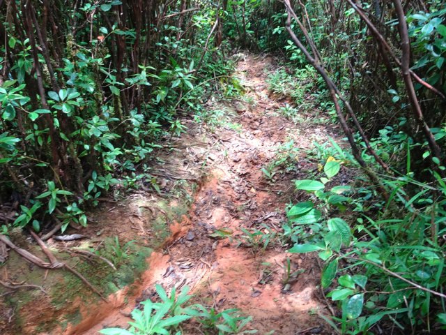 Forte montée glissante