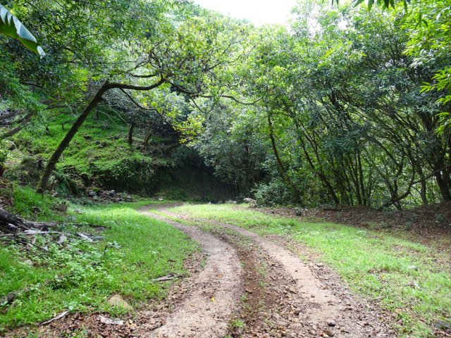 La piste qui descend vers la rivière