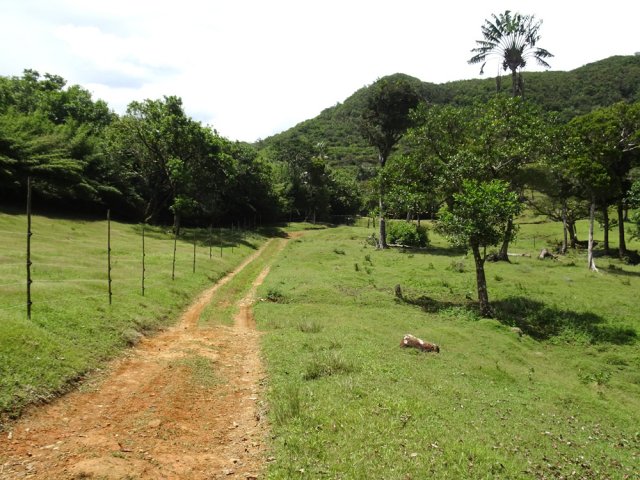 Rester sur les chemins longeant ou traversant les pâturages