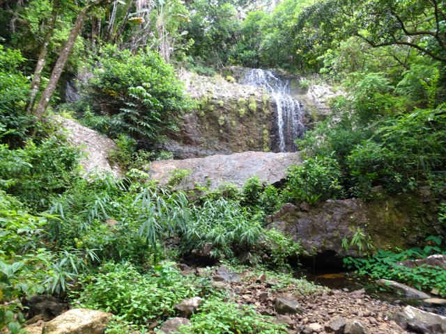 La cascade Tortue est une chute dans un écrin de verdure
