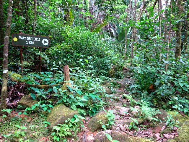 Emprunter le sentier de retour en rive gauche de la petite rivière