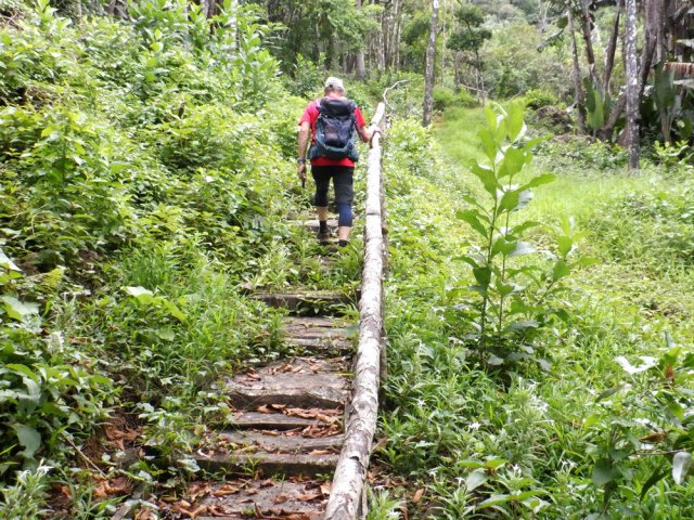 Même ce nouvel escalier semble abandonné