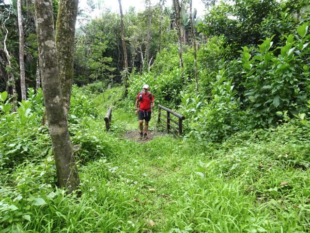 On rencontre une piste herbeuse