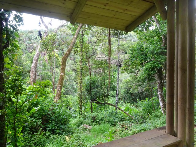 Plus loin, un kiosque voit de moins en moins de pique-niqueurs