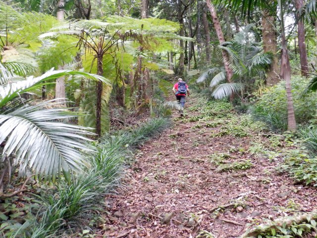 Puis il devient de plus en plus sauvage