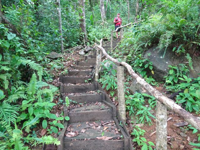 Les marches facilitent la montée assez forte
