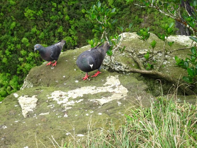 L'endroit idéal pour conter fleurette ... à condition de ne pas être dérangé