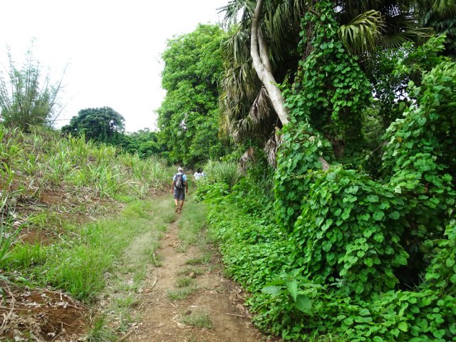 La transition est courte jusqu'à la cascade