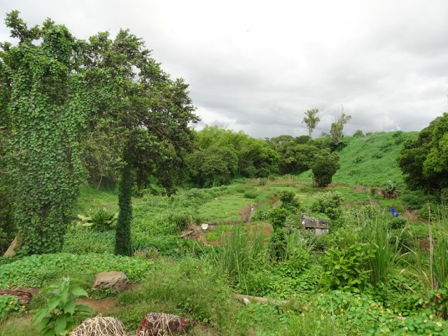 Le sentier descend à la rivière en longeant des champs et maraîchages