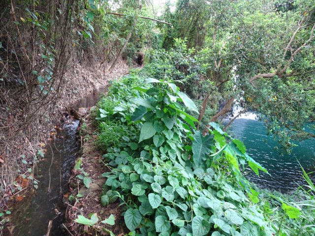 Remonter et suivre le petit canal vers l'amont