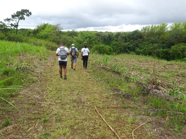 On parvient très vite sur la rive droite bordée de bambous
