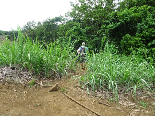 Trouver le sentier qui se rapproche des rives