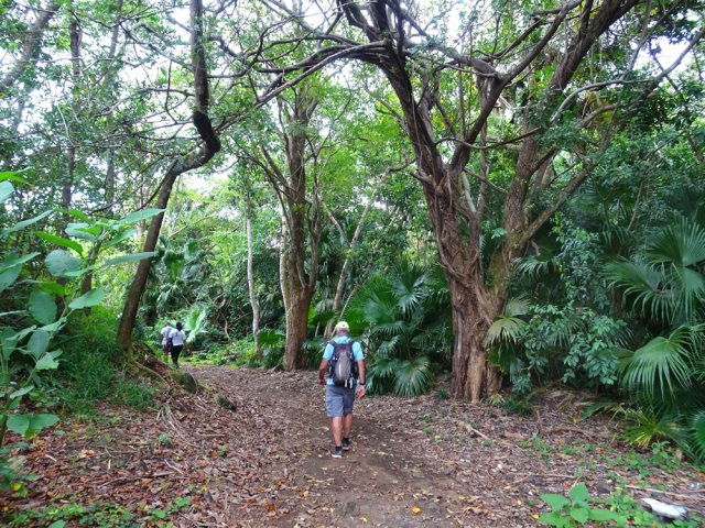 Très agréable sentier le long des berges