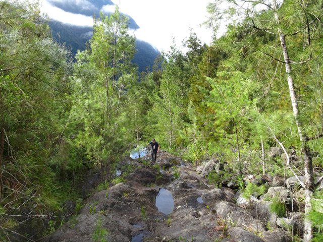 Une bonne partie de la montée peut s'effectuer dans le lit basaltique de la ravine