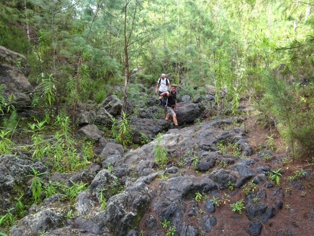 Le sol peut s'avérer glissant par temps de pluie