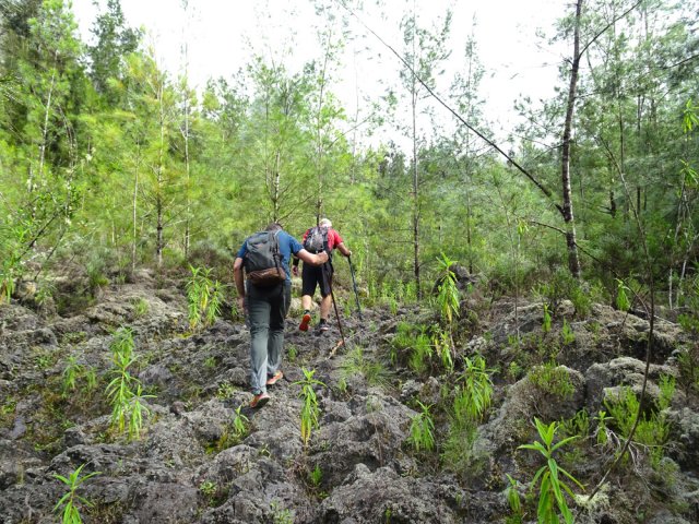 Plus on monte et plus les lichens recouvrent les pierres