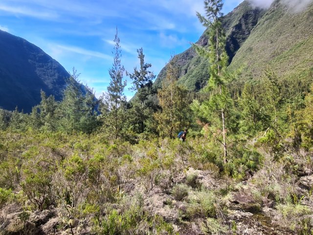 Le cœur de Grand Pays est un vaste pierrier inculte