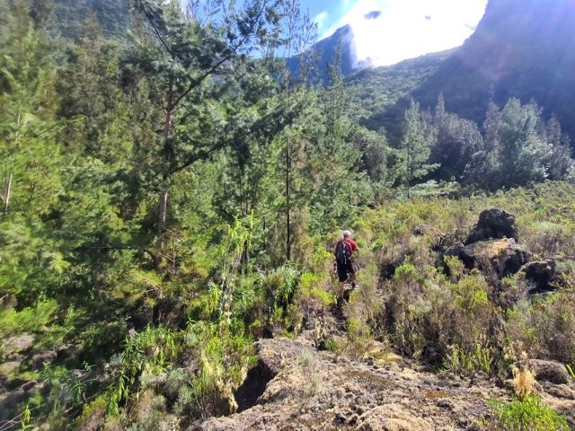 Partir vers le nord en longeant la Ravine de Grand Sable en rive gauche