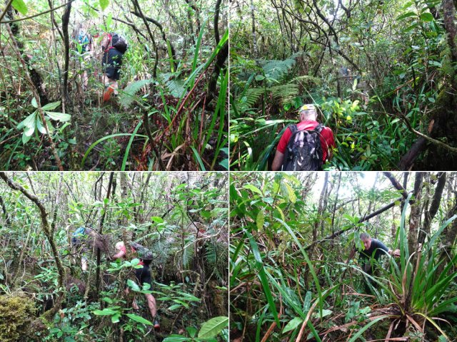 Longue remontée d'une minuscule ravine très encombrée
