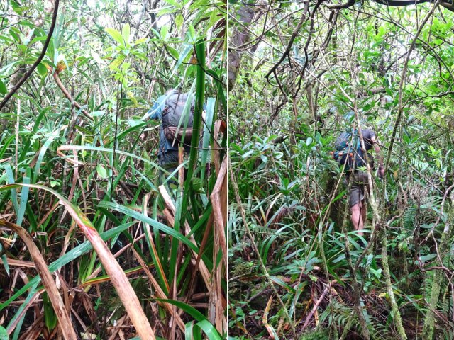 On longe une ravine qui n'a de signification que sur la carte