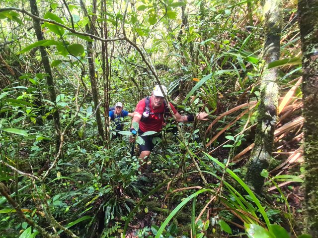 Compter 90 minutes de végétation intense