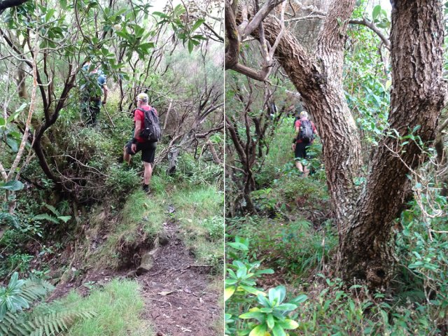 Petit écart de 10 minutes pour atteindre le piton 1262