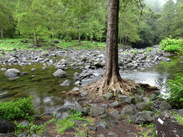 Franchir la Ravine des Sept Bras et terminer la descente jusqu'au réservoir