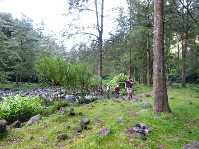 Franchir le gué de la Ravine des Sept Bras et rejoindre le sentier de Grand Pays