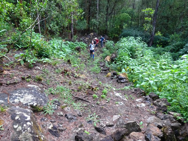 Emprunter le sentier menant aux anciennes habitations de Cap Blanc