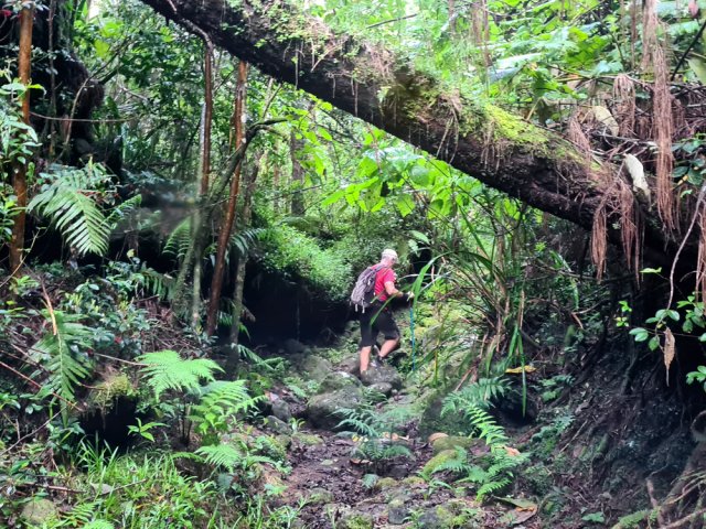 Le même dans une portion encaissée