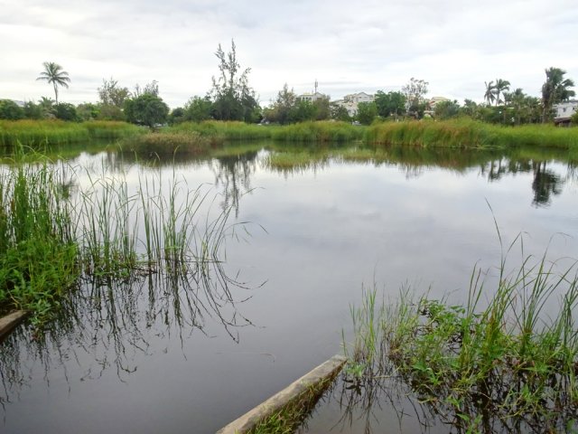 L’étang au cœur du village
