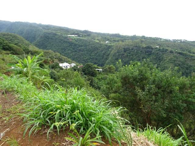 On domine le Petit Bras et le Lambert en rive gauche