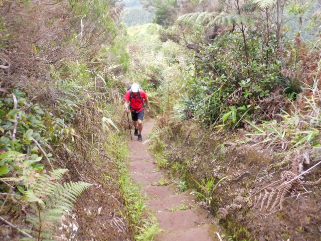 Des centaines de marches taillées dans la terre facilitent la montée