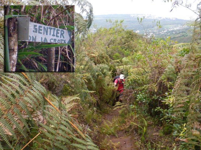 A l'approche du piton, les fougères ont tendance à envahir le sentier