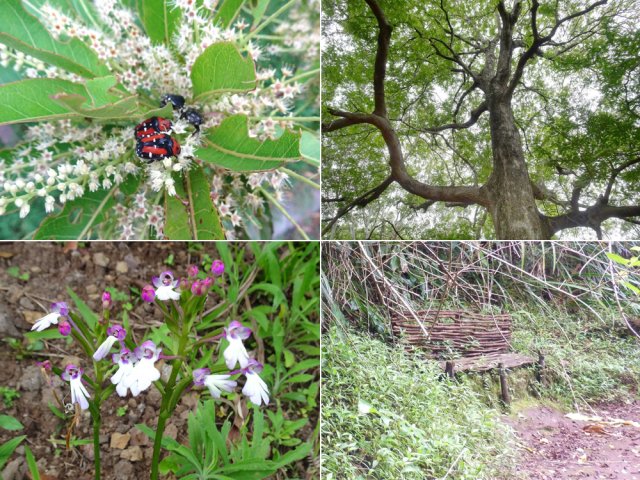 Quelques rencontres tout au long du parcours