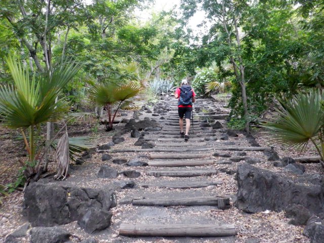 Un long escalier entre chocas et palmiers