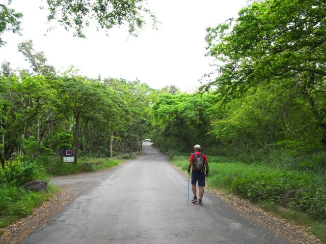 Courte portion de la Route Forestière du Parc