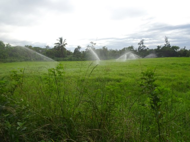 Des prairies très près de la ville